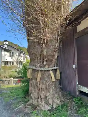 蛭子神社(神奈川県)