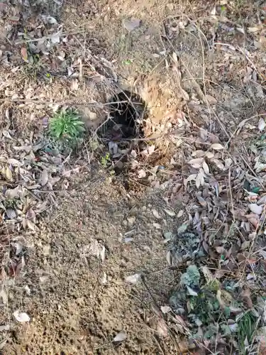 阿夫利神社（藤本観音山古墳）(栃木県)