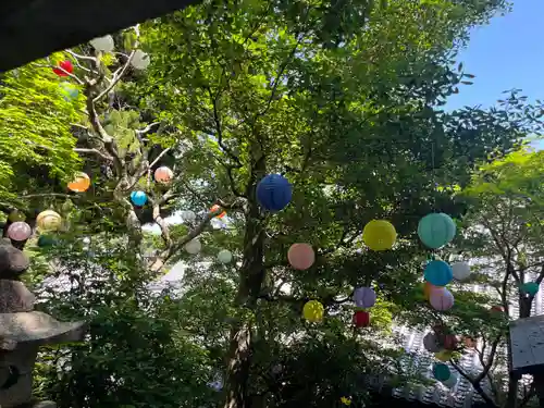 柳谷観音　楊谷寺(京都府)