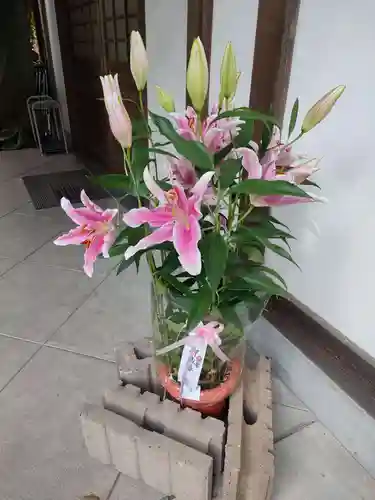 清洲山王宮　日吉神社の自然