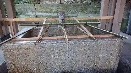 江島神社の手水舎