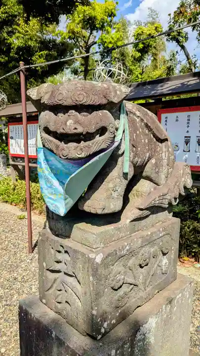 菊田神社の狛犬