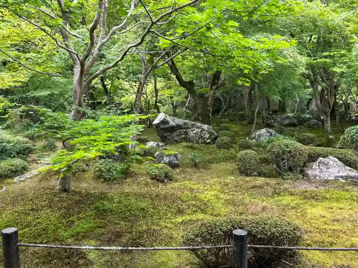 圓光寺(京都府)