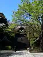 護国寺(東京都)