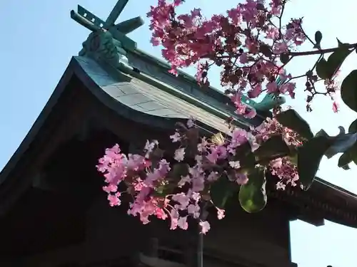 鈴谷天神社の本殿