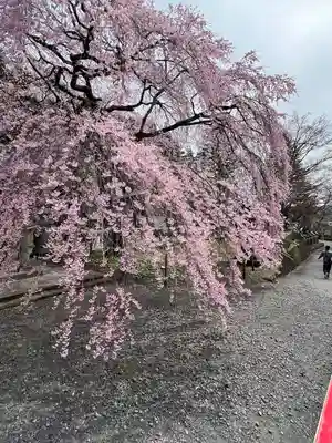 南湖神社(福島県)