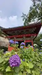 楽法寺（雨引観音）(茨城県)