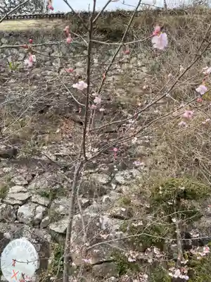 薬王寺(徳島県)