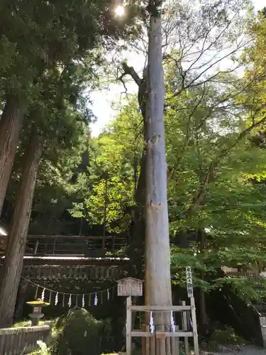 諏訪大社のその他建物