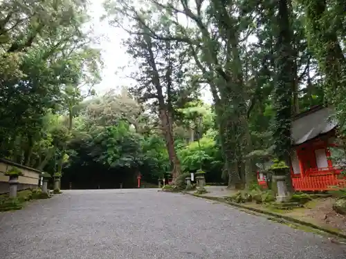 宇佐神宮の庭園