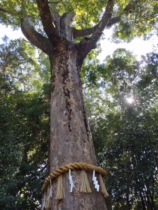 宇治上神社(京都府)