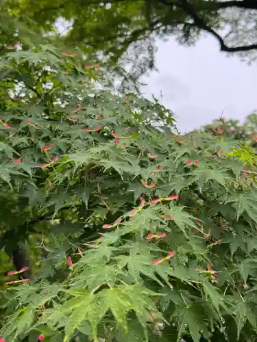 円覚寺(神奈川県)