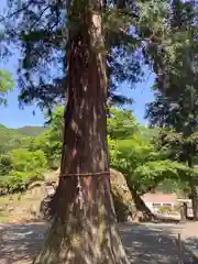 白瀧神社(群馬県)