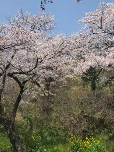 錦着山護国神社の自然