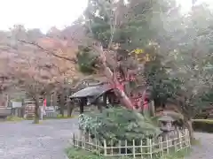 今熊野観音寺(京都府)