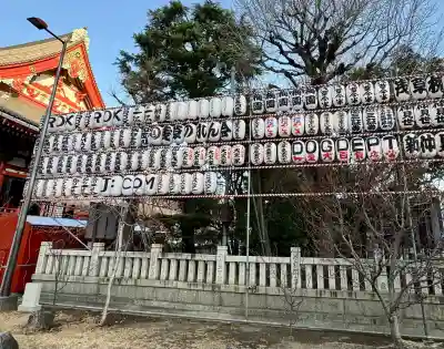 浅草神社の初詣