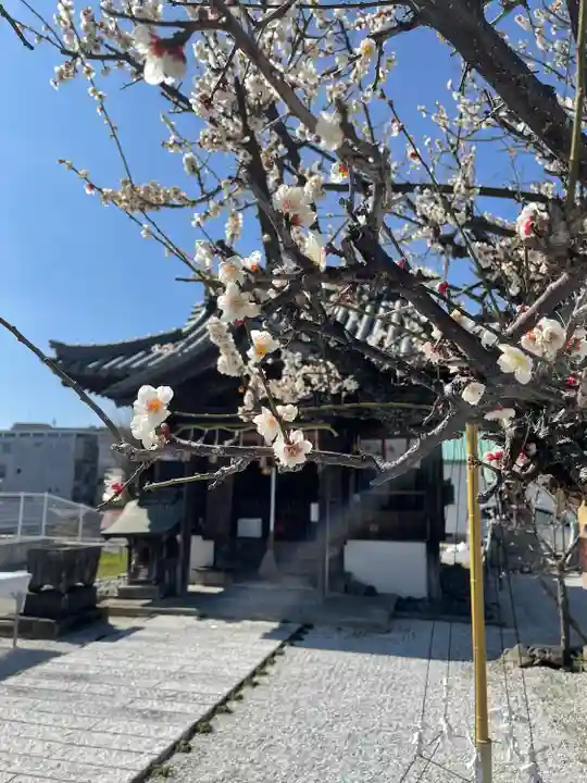 飯塚天満宮(曩祖八幡宮境内社)(福岡県)