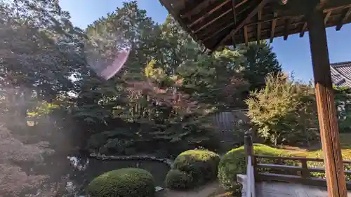 隨心院（随心院）(京都府)