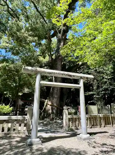 伊弉諾神宮(兵庫県)