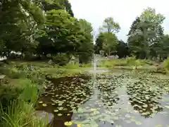 北海道護國神社の庭園