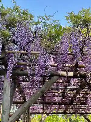 亀戸天神社(東京都)