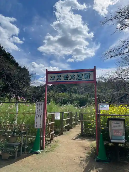 安倍文殊院 (奈良県)