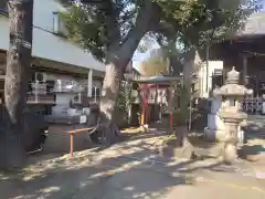 今泉神社(東京都)