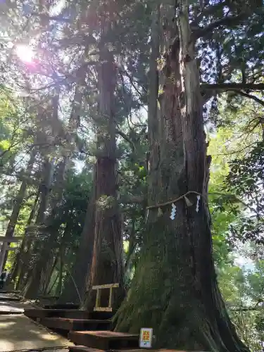 白山比咩神社の{uncategorized: "未分類", other: "その他", undefined: "問題あり", building: "その他建物", grave: "お墓", sacred_gate: "鳥居", guardian: "狛犬", statue: "像", buddha: "仏像", history: "歴史", nature: "自然", garden: "庭園", animal: "動物", pagoda: "塔", temizu: "手水舎", mountain_gate: "山門・神門", sanctuary: "本殿・本堂", subordinate: "末社・摂社", art: "芸術", scenery: "景色", jizo: "地蔵", ema: "絵馬", goshuin: "御朱印", omikuji: "おみくじ", items: "授与品その他", amulet: "お守り", goshuincho: "御朱印帳", eats: "食事", festival: "お祭り", votive_dance: "神楽", shichigosan: "七五三参", wedding: "結婚式", experience: "体験その他", initially: "初詣", around: "周辺", anti_infection: "感染症対策"}