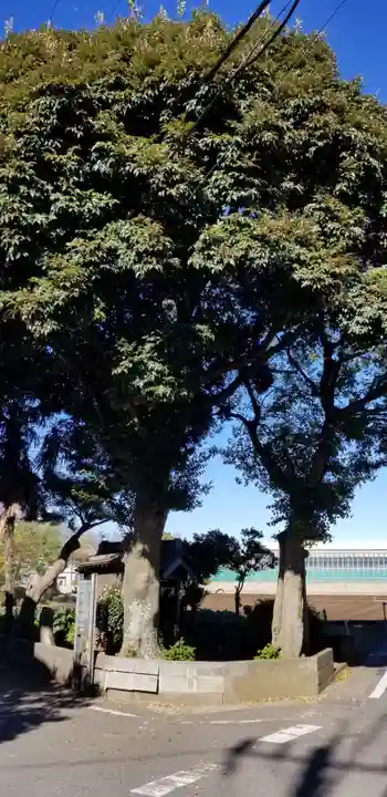 庚申神社の自然