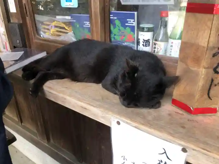 梅宮大社(京都府)