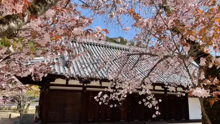 金剛寺(大阪府)
