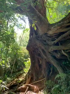 金刀比羅神社(千葉県)