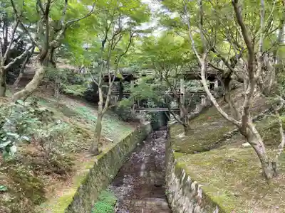 東福禅寺(東福寺)(京都府)