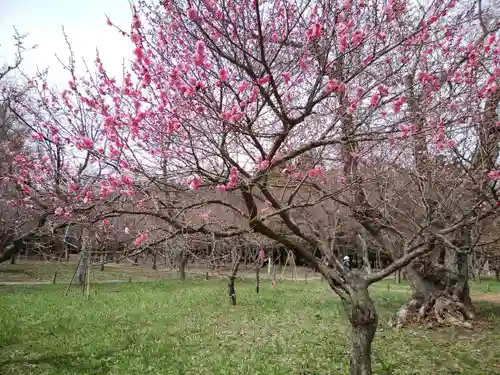 開拓神社の周辺