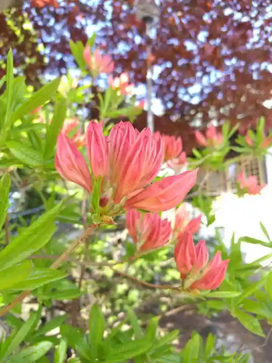 厚別神社(北海道)