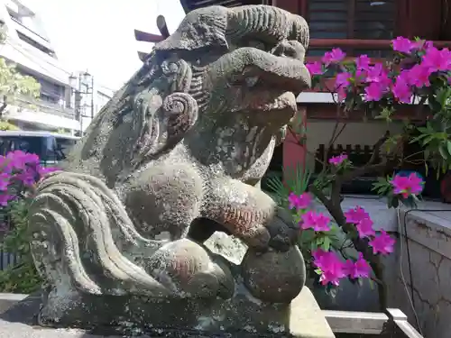 柏神社の狛犬