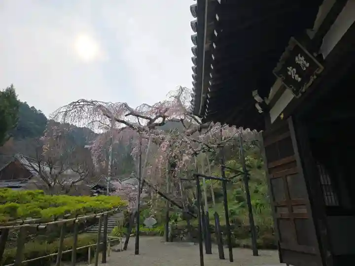善峯寺の{uncategorized: "未分類", other: "その他", undefined: "問題あり", building: "その他建物", grave: "お墓", sacred_gate: "鳥居", guardian: "狛犬", statue: "像", buddha: "仏像", history: "歴史", nature: "自然", garden: "庭園", animal: "動物", pagoda: "塔", temizu: "手水舎", mountain_gate: "山門・神門", sanctuary: "本殿・本堂", subordinate: "末社・摂社", art: "芸術", scenery: "景色", jizo: "地蔵", ema: "絵馬", goshuin: "御朱印", omikuji: "おみくじ", items: "授与品その他", amulet: "お守り", goshuincho: "御朱印帳", eats: "食事", festival: "お祭り", votive_dance: "神楽", shichigosan: "七五三参", wedding: "結婚式", experience: "体験その他", initially: "初詣", around: "周辺", anti_infection: "感染症対策"}