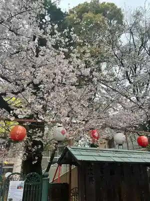 桜神宮(東京都)
