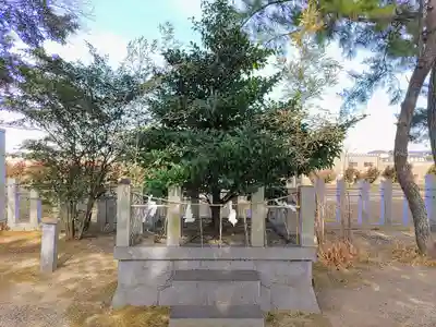 芦池神明社の自然