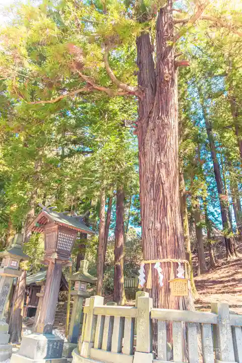 諏訪大社下社春宮(長野県)