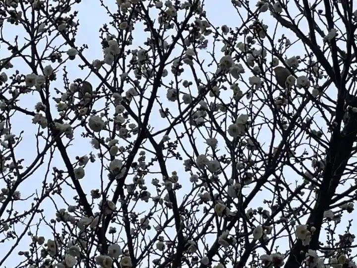 兵主神社の自然