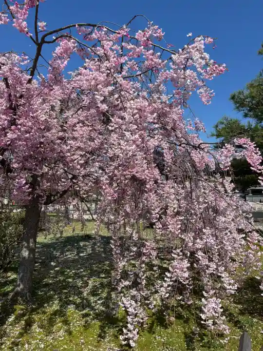 倶利迦羅不動寺鳳凰殿の{uncategorized: "未分類", other: "その他", undefined: "問題あり", building: "その他建物", grave: "お墓", sacred_gate: "鳥居", guardian: "狛犬", statue: "像", buddha: "仏像", history: "歴史", nature: "自然", garden: "庭園", animal: "動物", pagoda: "塔", temizu: "手水舎", mountain_gate: "山門・神門", sanctuary: "本殿・本堂", subordinate: "末社・摂社", art: "芸術", scenery: "景色", jizo: "地蔵", ema: "絵馬", goshuin: "御朱印", omikuji: "おみくじ", items: "授与品その他", amulet: "お守り", goshuincho: "御朱印帳", eats: "食事", festival: "お祭り", votive_dance: "神楽", shichigosan: "七五三参", wedding: "結婚式", experience: "体験その他", initially: "初詣", around: "周辺", anti_infection: "感染症対策"}