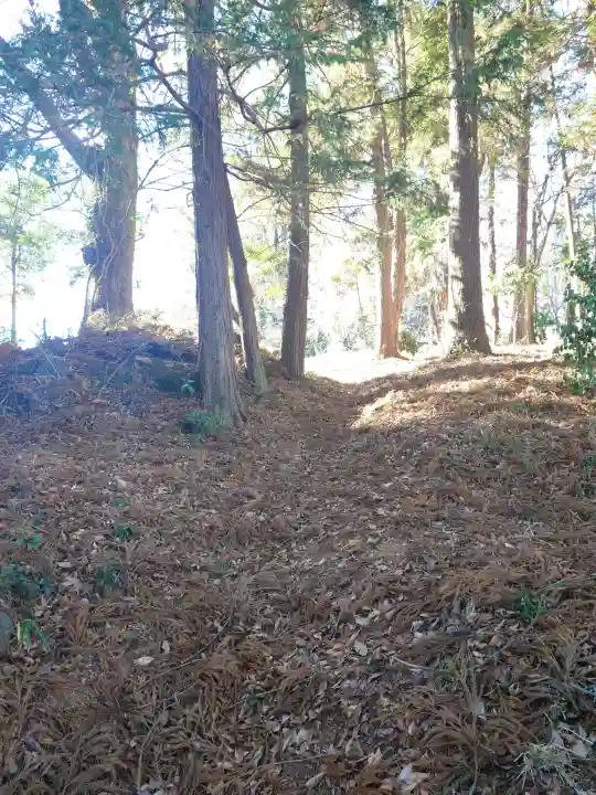 手白神社の{uncategorized: "未分類", other: "その他", undefined: "問題あり", building: "その他建物", grave: "お墓", sacred_gate: "鳥居", guardian: "狛犬", statue: "像", buddha: "仏像", history: "歴史", nature: "自然", garden: "庭園", animal: "動物", pagoda: "塔", temizu: "手水舎", mountain_gate: "山門・神門", sanctuary: "本殿・本堂", subordinate: "末社・摂社", art: "芸術", scenery: "景色", jizo: "地蔵", ema: "絵馬", goshuin: "御朱印", omikuji: "おみくじ", items: "授与品その他", amulet: "お守り", goshuincho: "御朱印帳", eats: "食事", festival: "お祭り", votive_dance: "神楽", shichigosan: "七五三参", wedding: "結婚式", experience: "体験その他", initially: "初詣", around: "周辺", anti_infection: "感染症対策"}