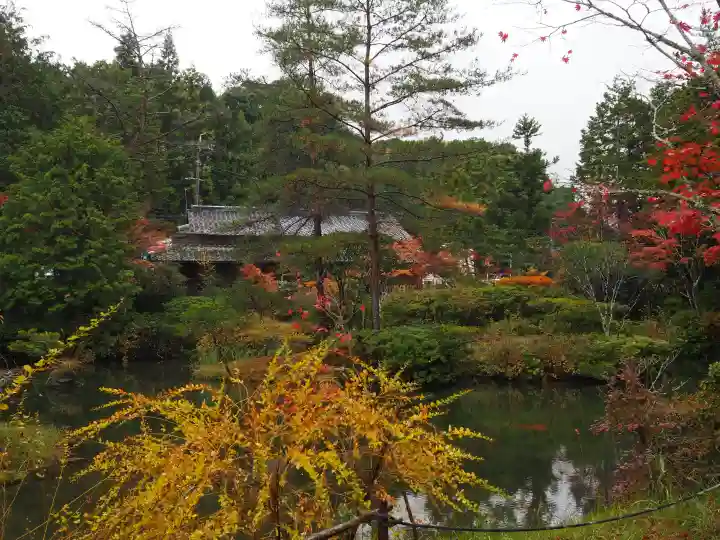 円成寺の{uncategorized: "未分類", other: "その他", undefined: "問題あり", building: "その他建物", grave: "お墓", sacred_gate: "鳥居", guardian: "狛犬", statue: "像", buddha: "仏像", history: "歴史", nature: "自然", garden: "庭園", animal: "動物", pagoda: "塔", temizu: "手水舎", mountain_gate: "山門・神門", sanctuary: "本殿・本堂", subordinate: "末社・摂社", art: "芸術", scenery: "景色", jizo: "地蔵", ema: "絵馬", goshuin: "御朱印", omikuji: "おみくじ", items: "授与品その他", amulet: "お守り", goshuincho: "御朱印帳", eats: "食事", festival: "お祭り", votive_dance: "神楽", shichigosan: "七五三参", wedding: "結婚式", experience: "体験その他", initially: "初詣", around: "周辺", anti_infection: "感染症対策"}