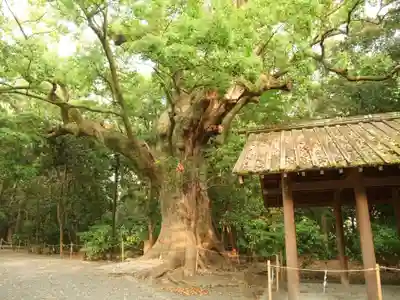 月夜見宮（豊受大神宮別宮）(三重県)