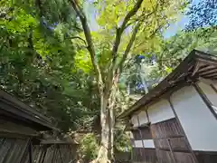 丹生川上神社（下社）(奈良県)