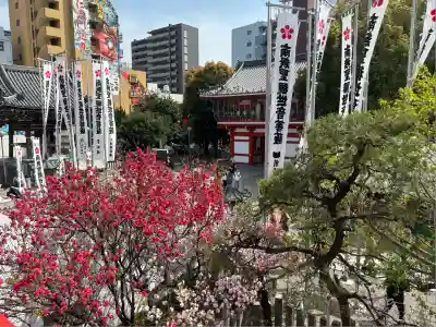 大須観音 (北野山真福寺宝生院)(愛知県)