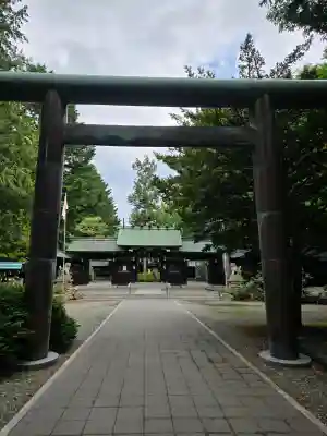 琴似神社(北海道)