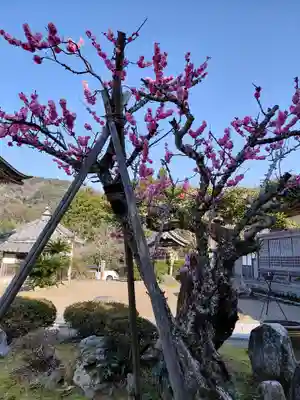 大成寺(福井県)