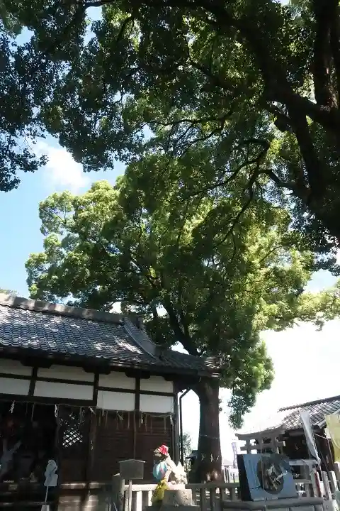 玉田神社(京都府)